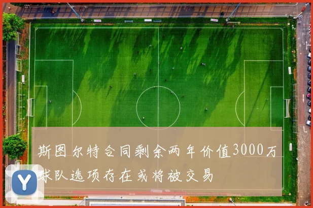 斯图尔特合同剩余两年价值3000万球队选项存在或将被交易