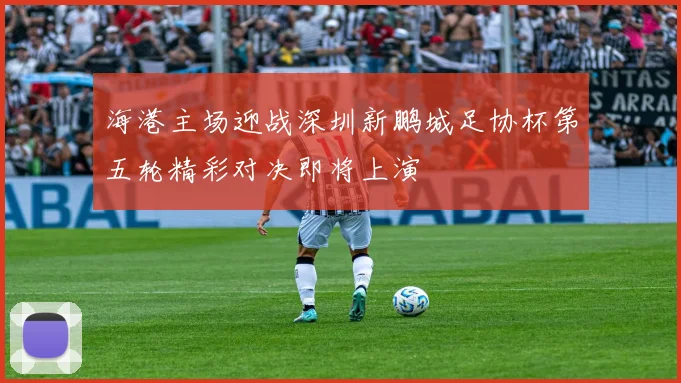 海港主场迎战深圳新鹏城足协杯第五轮精彩对决即将上演