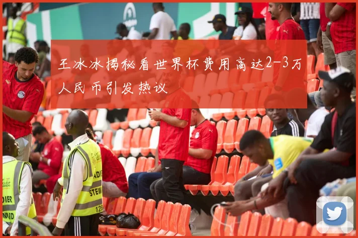 王冰冰揭秘看世界杯费用高达2-3万人民币引发热议